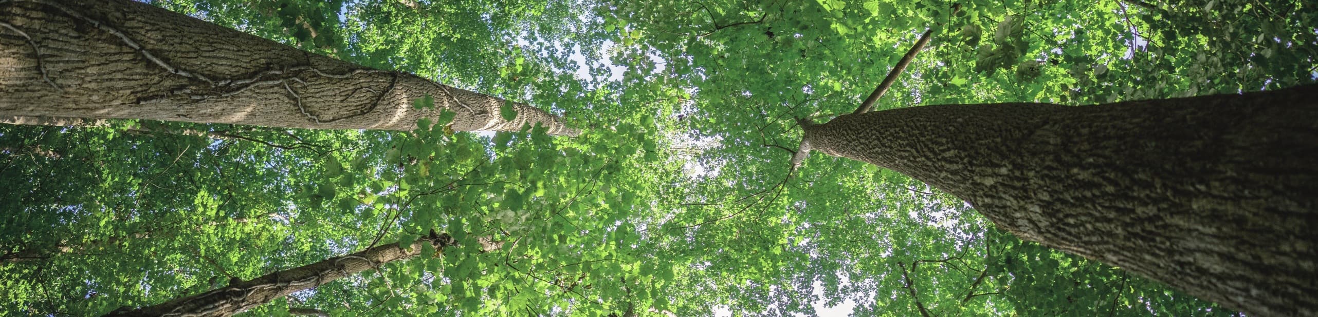 大发welcome - 首页官网登录